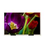 10.1 Inch EE101IA-01D LCD Display Screen 1280X800 HD Desktop Monitor for sale