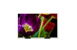 China 10.1 Inch EE101IA-01D LCD Display Screen 1280X800 HD Desktop Monitor supplier
