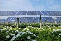 China 1P Slewing Drive Solar Tracker For Solar Panel Tracking System supplier