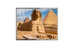 China 12.1 Inch TFT IPS Display RGB Vertical Stripe Lcd Screen Module supplier