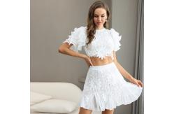 China Polyester Two Piece Lace Dresses Long Sleeve Crop Top And Mini Skirt supplier