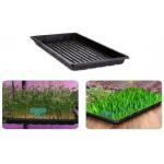 Dining Room Cells Plastic Germination Trays Tomato Grow Starting for sale