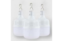 China Solar Bulb Re-Charge T bulb from 6W to 50W with Solar Panel supplier