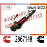 Diesel Engine Fuel Injector Y431K05392 2867147 2867148 For CUMMINS QSK19 QSK38 QSK50 QSK60 Engine for sale