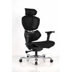 High Back Ergonomic Office Mesh Chair Racing Chair Black with 5D Armrest