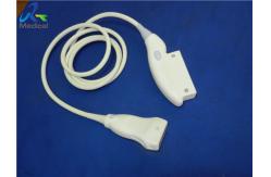 China GE 8L RS Used Linear Array Transducer Ultrasound for Pediatric Abdomen supplier