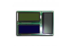 China Custom Mono FSTN Positive 192X64 Graphic LCD Module Display supplier