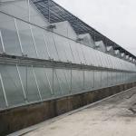 Customizable Multi-Span Greenhouse with High Durability Length 40 or Customizable for sale