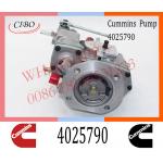 Diesel Injection For Cummins KTA19 PT Fuel Pump 4025790 4060178 4060286