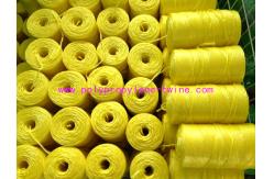 China UV Treated Polypropylene Twine , PP Agriculture Square Hay Baler Twine supplier