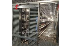 China Automatic Poultry Battery Cage System Coated Wire With Long Lifespan  Nigeria Sandy supplier