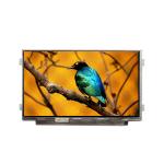 B101AW07 V0 10.1 inch 1024*600 lcd display new original for sale
