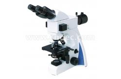 China 1000x LED Fluorescence Microscope With 30°Inclined Head A16.1030 supplier