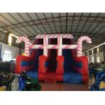 Outdoor And Indoor Circus Inflatable Dry Slide Silk Screen Printing for sale
