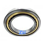 NU1038M Single Row Bearing NU1038M Cylindrical Roller Bearing NU1038 For Machinery for sale