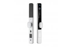 China Silver Camera Door Lock IP65 Advanced Intelligent Door Lock supplier