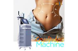 China Laser Cellulite Removal Machine , 360 Cryo Fat Freezing Machine supplier