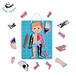 Human Body Educational Toys Human Anatomy Puzzle To Learn Body Parts for Kids for sale