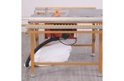 China 120*100cm Lightweight Portable Sliding Table Saw With Vacuum Cleaner supplier