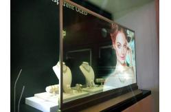 China Lightweight OLED Display Panel , Ultra Thin Touch Screen Interactive Display supplier