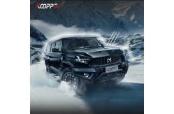 China ShadowWalker TPU Ppf Matte Wrap PPF Car Film Paint Protection Film Self Healing supplier
