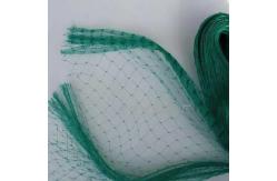 China Lightweight Anti Bird Net For Orchards Gardens Fruit Orchard Netting supplier