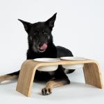 OEM ODM Personalized Pet Bowls Ceramic Elevated Dog Bowls Eco Friendly for sale