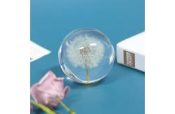 China Custom Resin Paperweight 3 Inch 4 Inch 5 Inch Crystal Paper Weights supplier