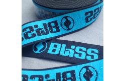 China silicon coated Non Slip Nylon 2.5cm Elastic Webbing Band supplier