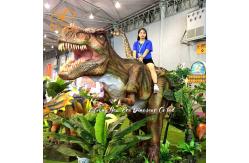China Realistic Lifelike Simulated T-rex Dinosaur for Museum and Child Amusement Park supplier