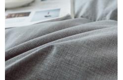 China Double Stitching BSCI  Oeko-Tex Standard Goose Down Double Duvet supplier