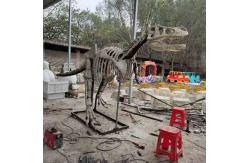 China Large Outdoor Dinosaur Skeleton , Sunproof Dinosaur Model Skeleton supplier