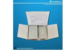 China RJ40 Machine Nucleic Acid Extraction Kit Swab medium Sample supplier