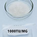 Papaya Protease 300USP-6000USP Powder Like Fully Soluble In Water Customized pharmaceutical Grade for sale