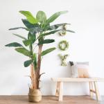 Wholesale 7 FT Artificial Banana Tree Plant | Natural Bark Trunk | Free Maintenance | Indoor Palm for Living Room & Office Decor for sale