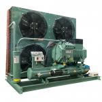 2HP-30HP Condensing Unit with good compressor walk in freezer room cold storage for sale