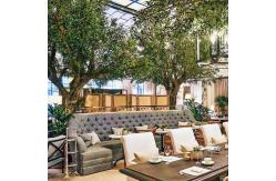 China 20m Height Artificial Olive Tree Custom Shape Natural Looking Frabric Leaves supplier