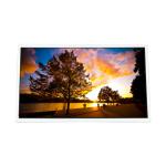23.0 inch 1920*1080 TFT-LCD Module MV230FHM-N41 LCD Screen for sale