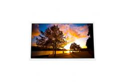 China 23.0 inch 1920*1080 TFT-LCD Module MV230FHM-N41 LCD Screen supplier