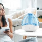 HOMEFISH Desktop Ultrasonic Room Humidifier 2 Speed Large Capacity 1.5L