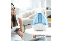 China HOMEFISH Desktop Ultrasonic Room Humidifier 2 Speed Large Capacity 1.5L supplier