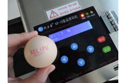 China Easy Control Egg Printing Machine With 120000 Characters Per Hour High Speed supplier