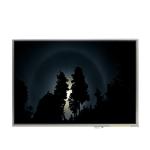 LTD121ECAK 12.1 inch 1024*768 LCD Screen Display for sale