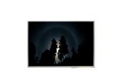 China LTD121ECAK 12.1 inch 1024*768 LCD Screen Display supplier