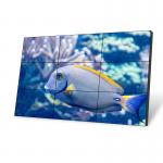 49 Inch 1920×1080 700cd/m2 Narrow Bezel LCD Panel 235W for sale
