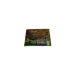 HSD060FHW2-D00 6.0 inch 720*1280 LCD Screen Display For Phone for sale