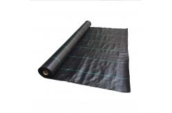 China Erosion Control PP Woven Geotextile Road Construction Fabric Alkali Resistant supplier