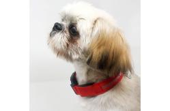 China 3 Modes Adjustable LED Dog Collar USB Rechargeable , Light Up Christmas Dog Collar supplier