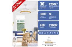 China Elegant 42 Inch Chandelier Hidden Blade Ceiling Fan with 2- and Dimmer Compatibility supplier