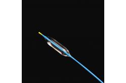 China PA12 Dilation Balloon Catheter Using High Performance Balloon Material supplier